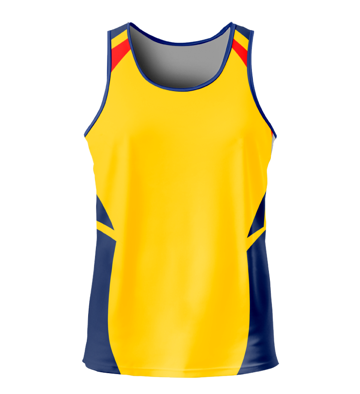 S17 – Singlet